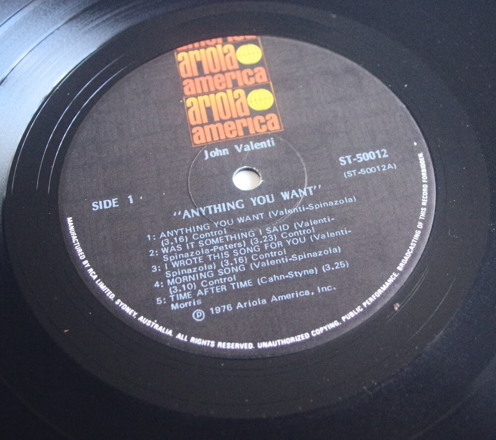 JOHN VALENTI / ANYTHING YOU WANT (LP) - レコード